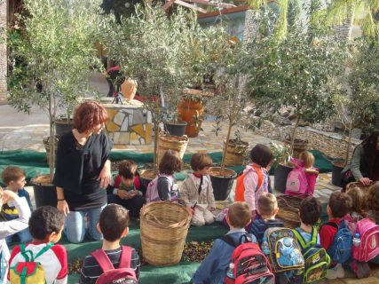 Λάδι … Ο θησαυρός της ελιάς