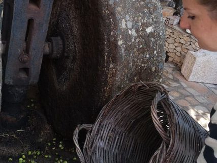 Λάδι … Ο θησαυρός της ελιάς