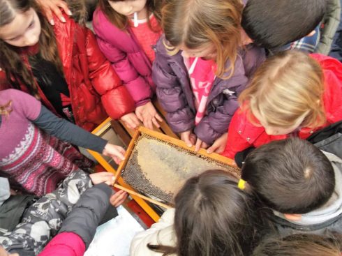 Μέλι … Ο χορός των μελισσών