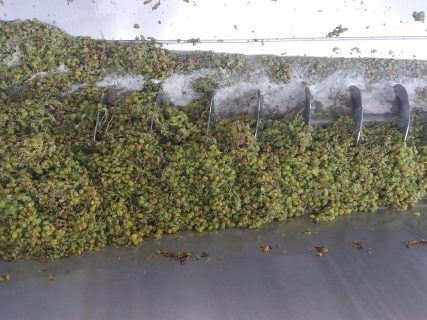 Το Οινοποιείο