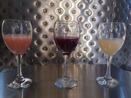 Το Οινοποιείο