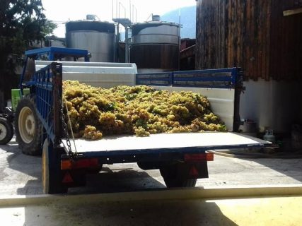 Το Οινοποιείο