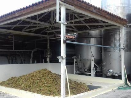 Το Οινοποιείο