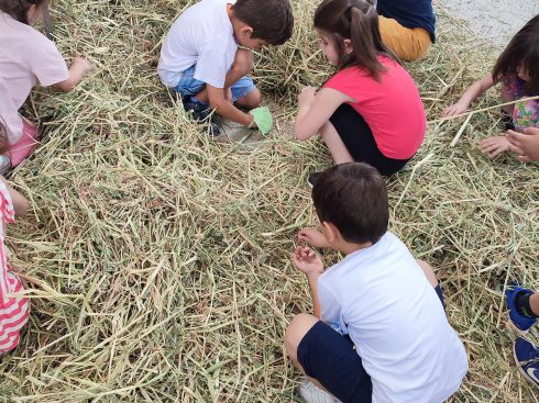 Σιτάρι …Το πιο γλυκό ψωμί