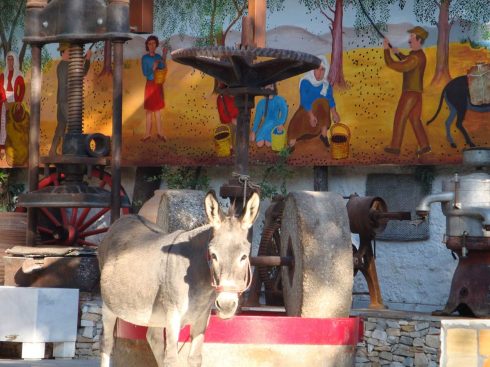 Σιτάρι …Το πιο γλυκό ψωμί