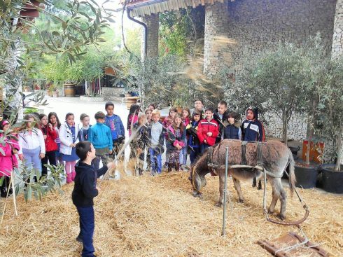 Σιτάρι …Το πιο γλυκό ψωμί