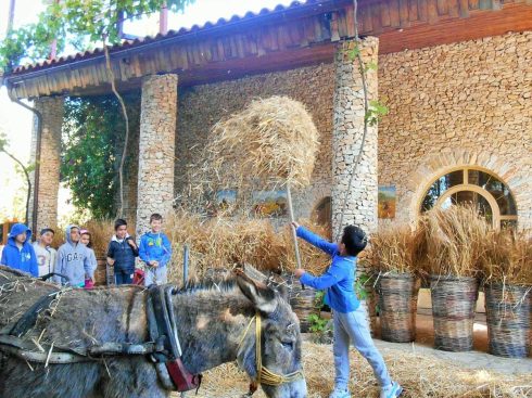 Σιτάρι …Το πιο γλυκό ψωμί