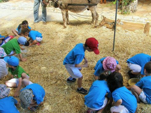 Σιτάρι …Το πιο γλυκό ψωμί