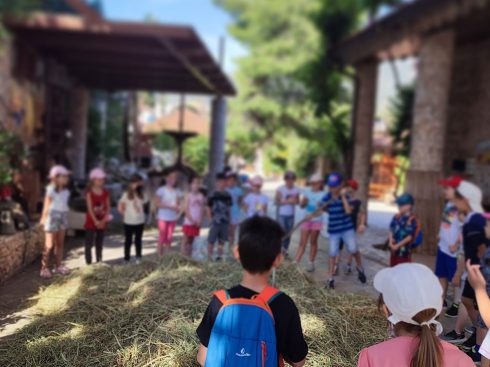 Σιτάρι …Το πιο γλυκό ψωμί