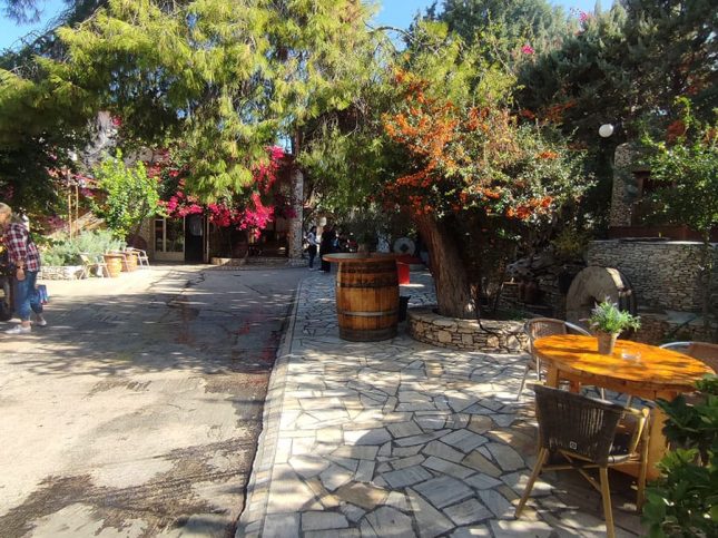 Σταφύλι … Ο δρόμος του κρασιού