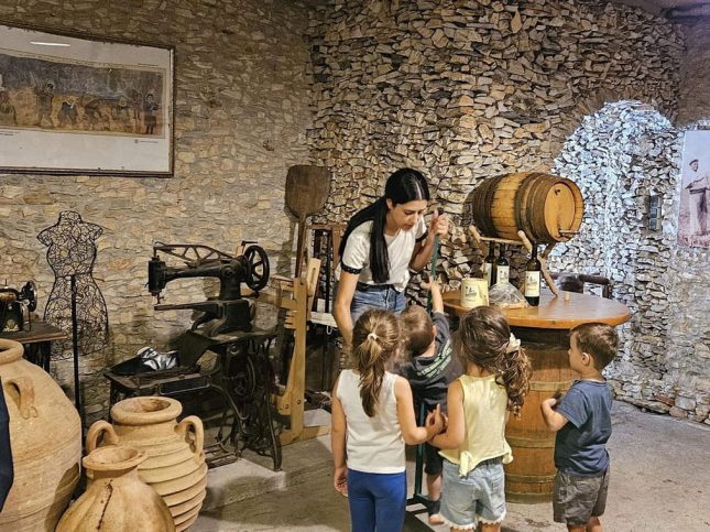 Σταφύλι … Ο δρόμος του κρασιού