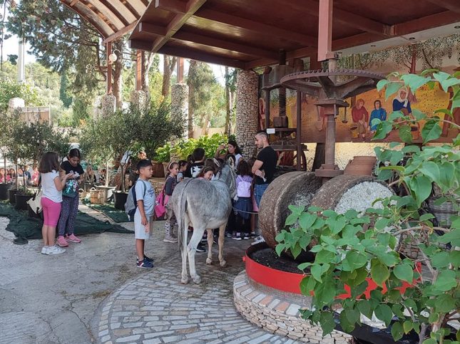 Σταφύλι … Ο δρόμος του κρασιού