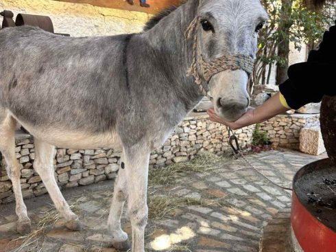 Κυριακές στο Πάρκο