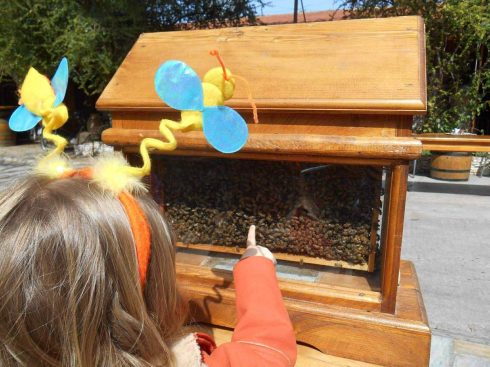 Μέλι … Ο χορός των μελισσών