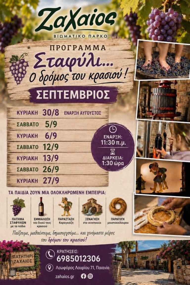 Σταφύλι… Ο δρόμος του κρασιού!